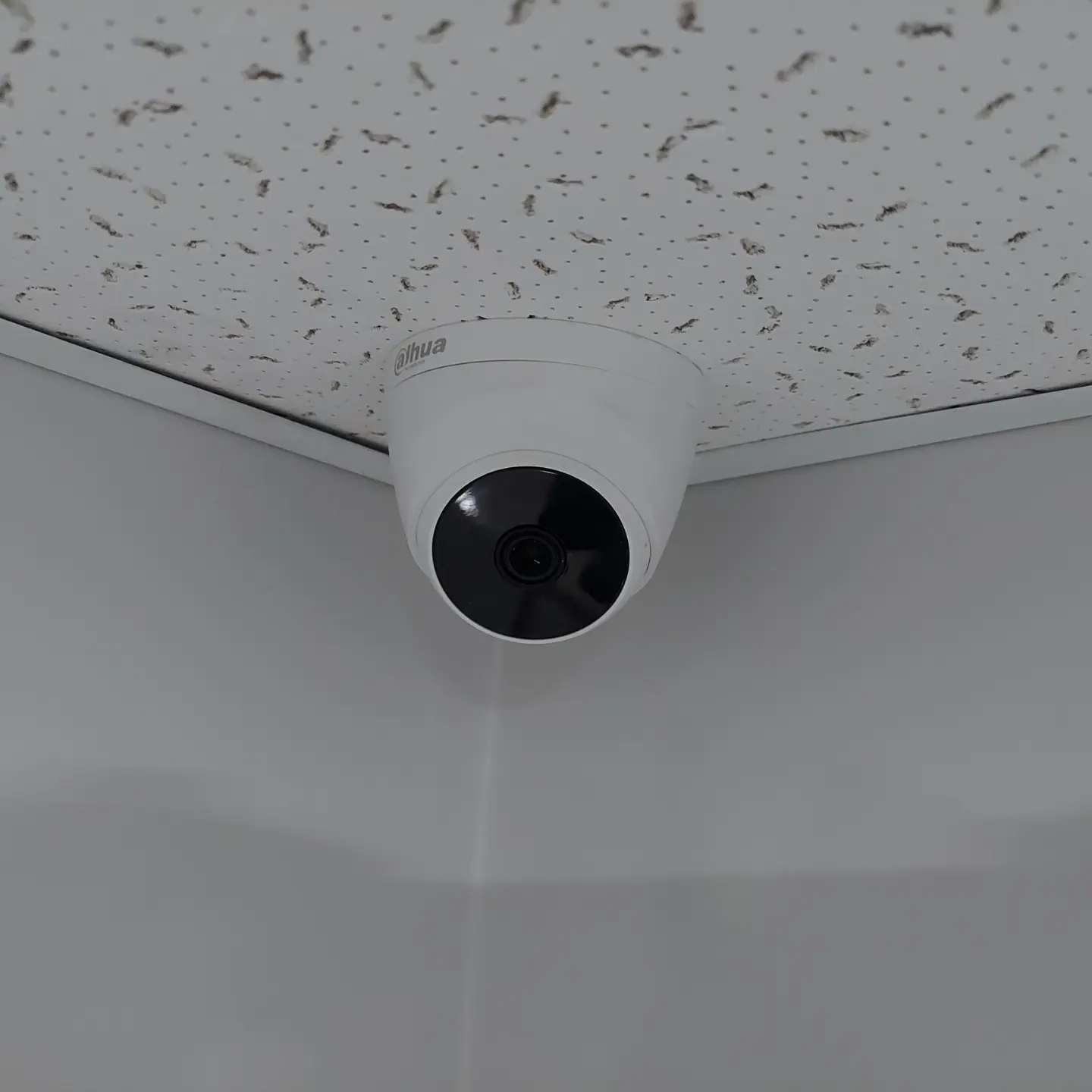 Dentalis  Ağız ve Diş Sağlığı Merkezi