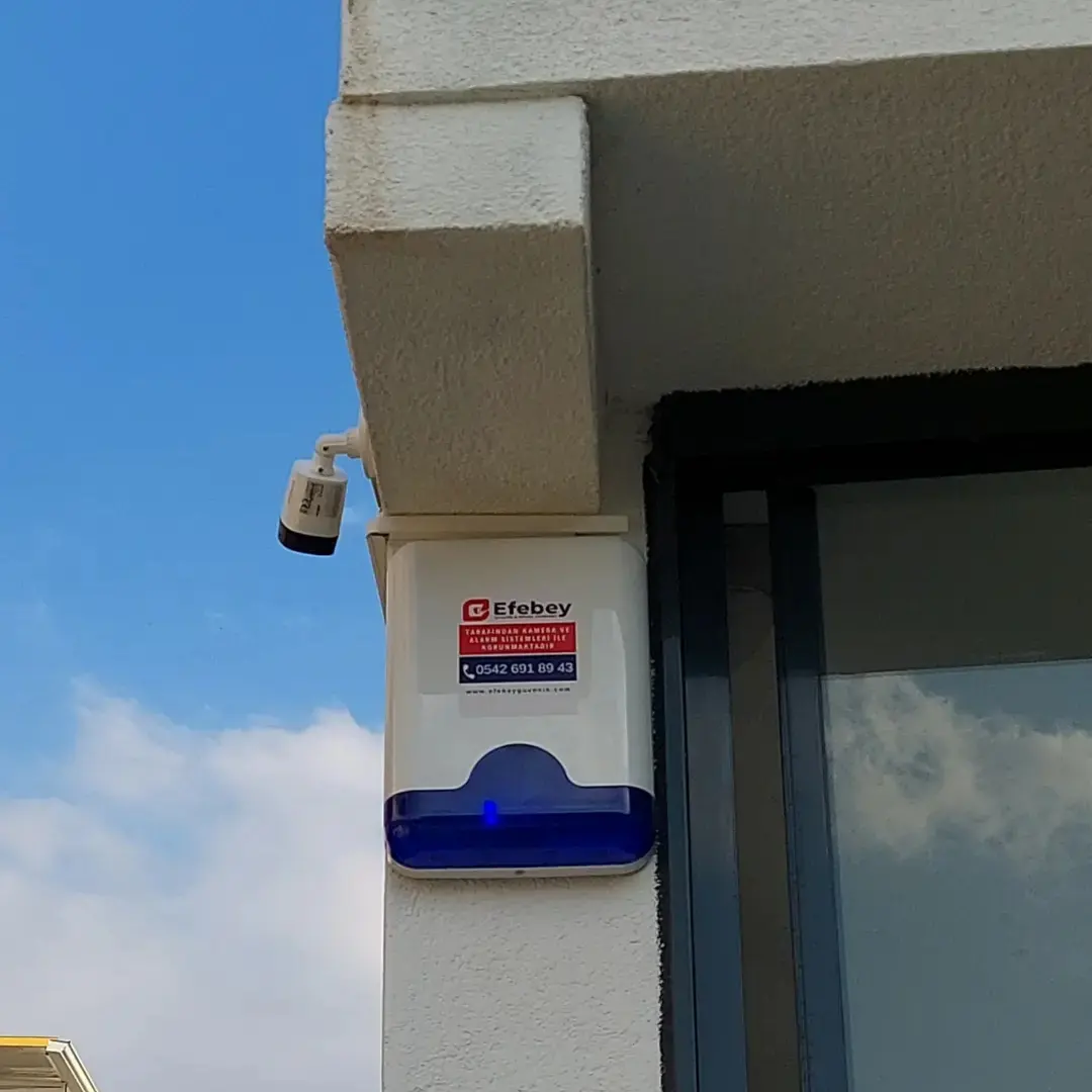 Yasemin Hanım / Davutlar