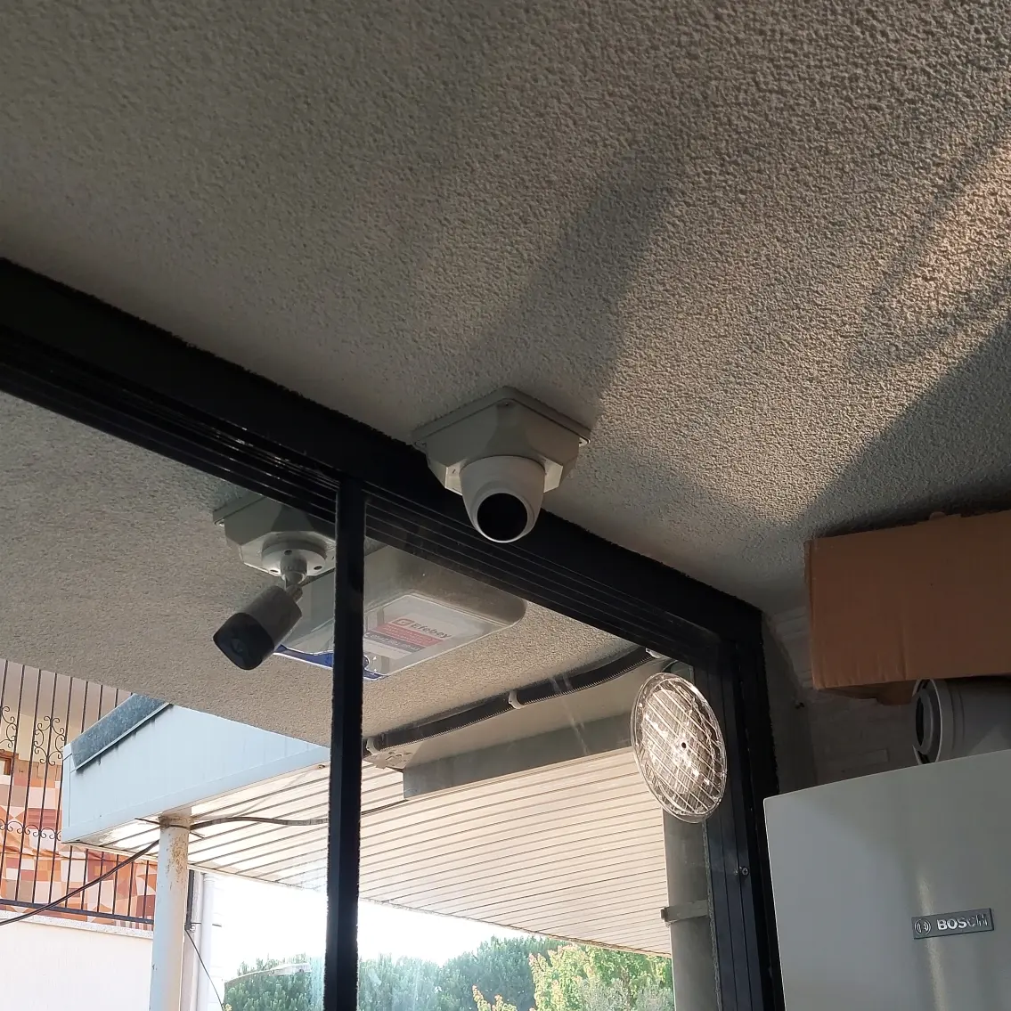 Yasemin Hanım / Davutlar