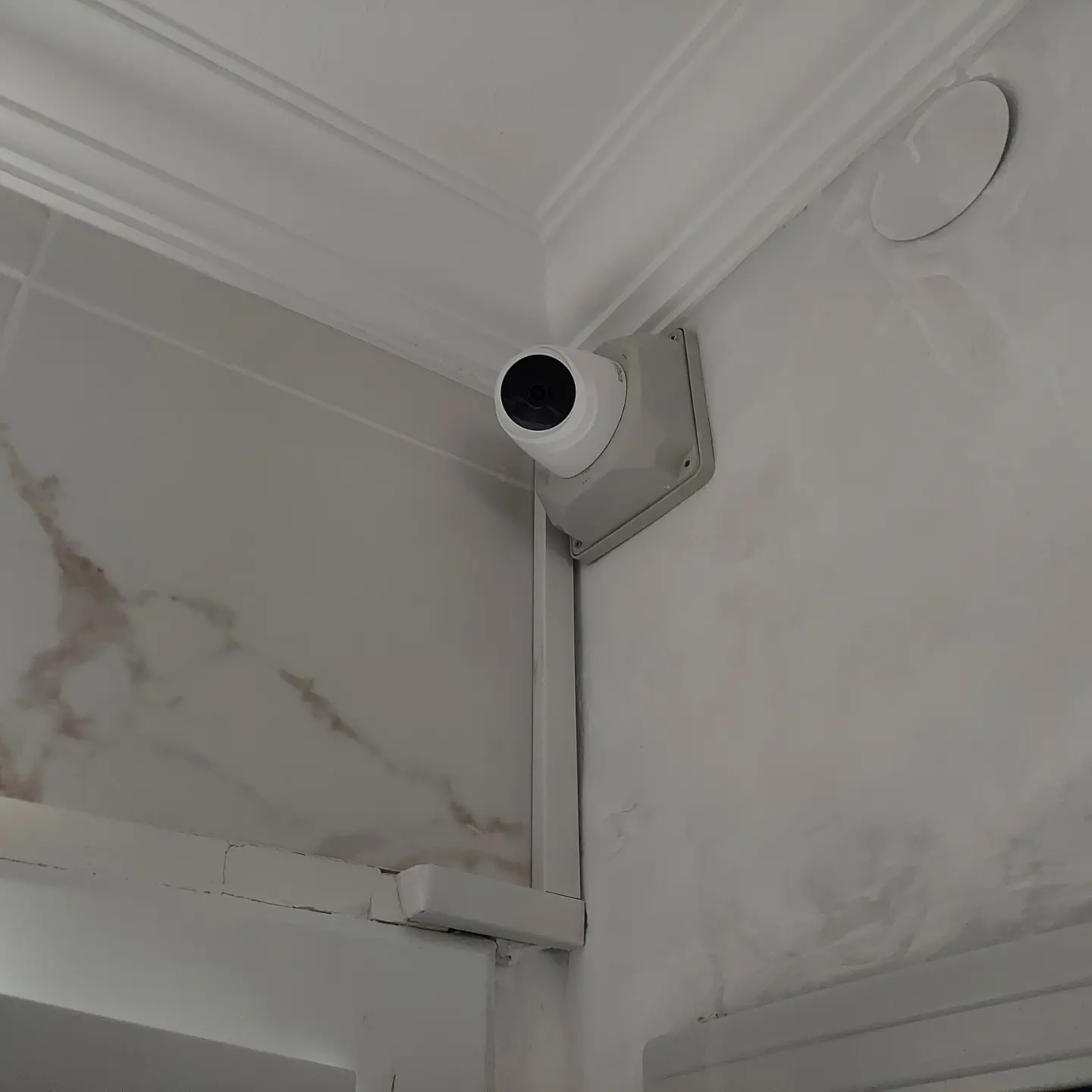 Yasemin Hanım / Davutlar