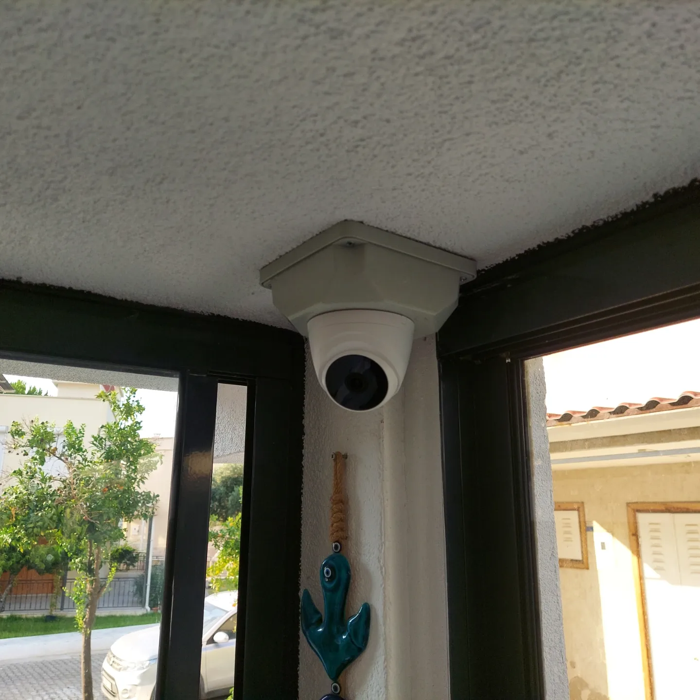 Yasemin Hanım / Davutlar