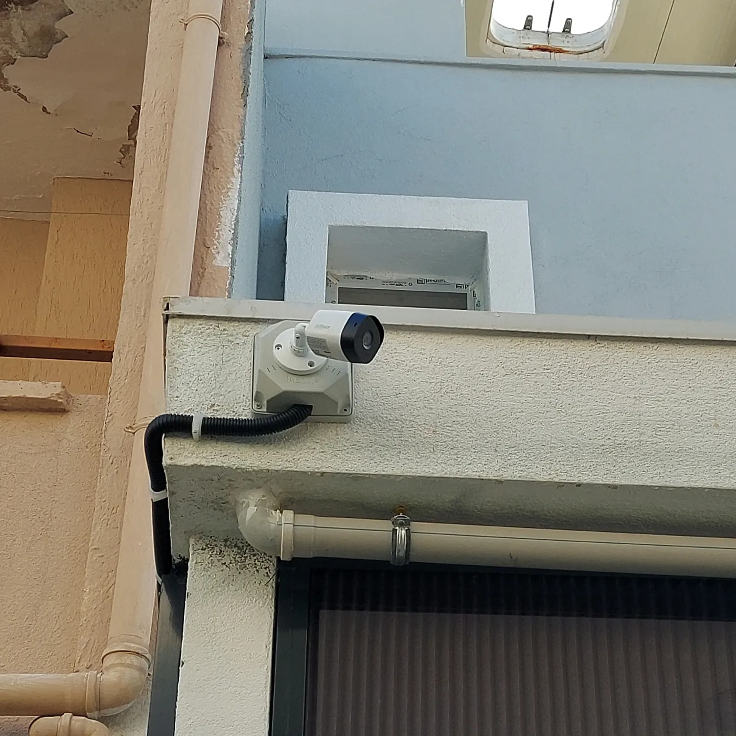 Yasemin Hanım / Davutlar