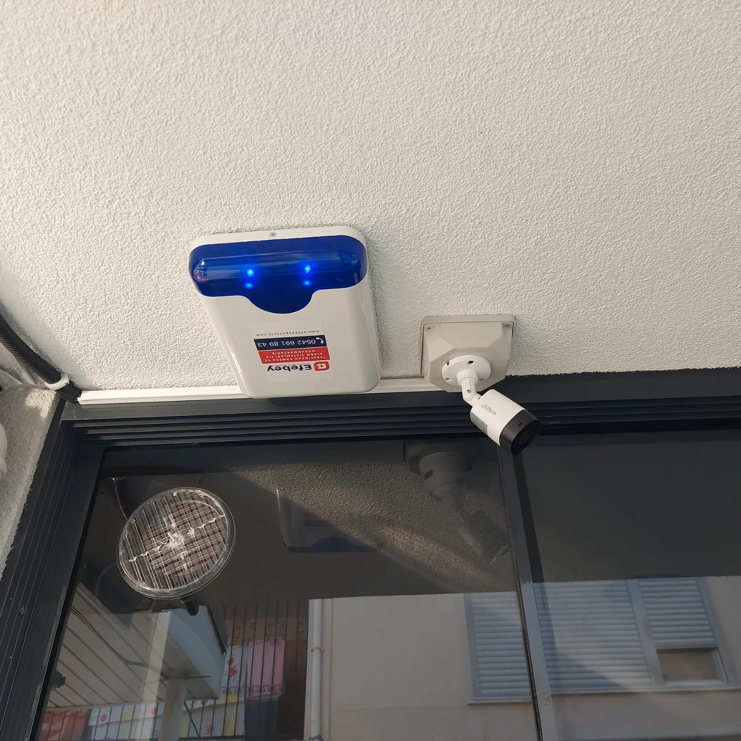 Yasemin Hanım / Davutlar