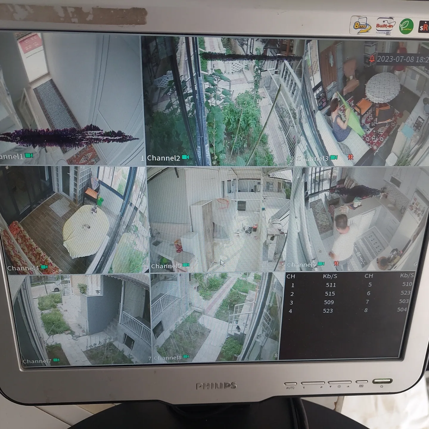 Yasemin Hanım / Davutlar