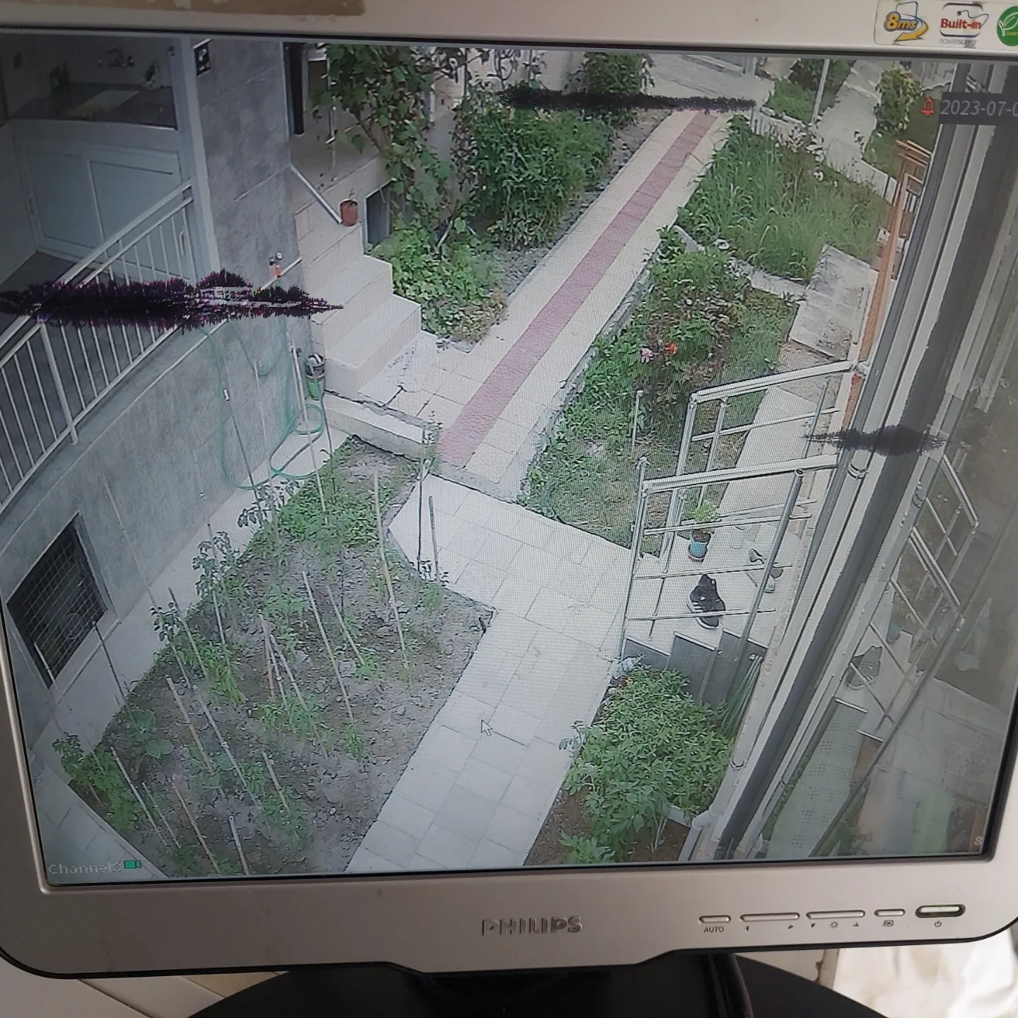 Yasemin Hanım / Davutlar