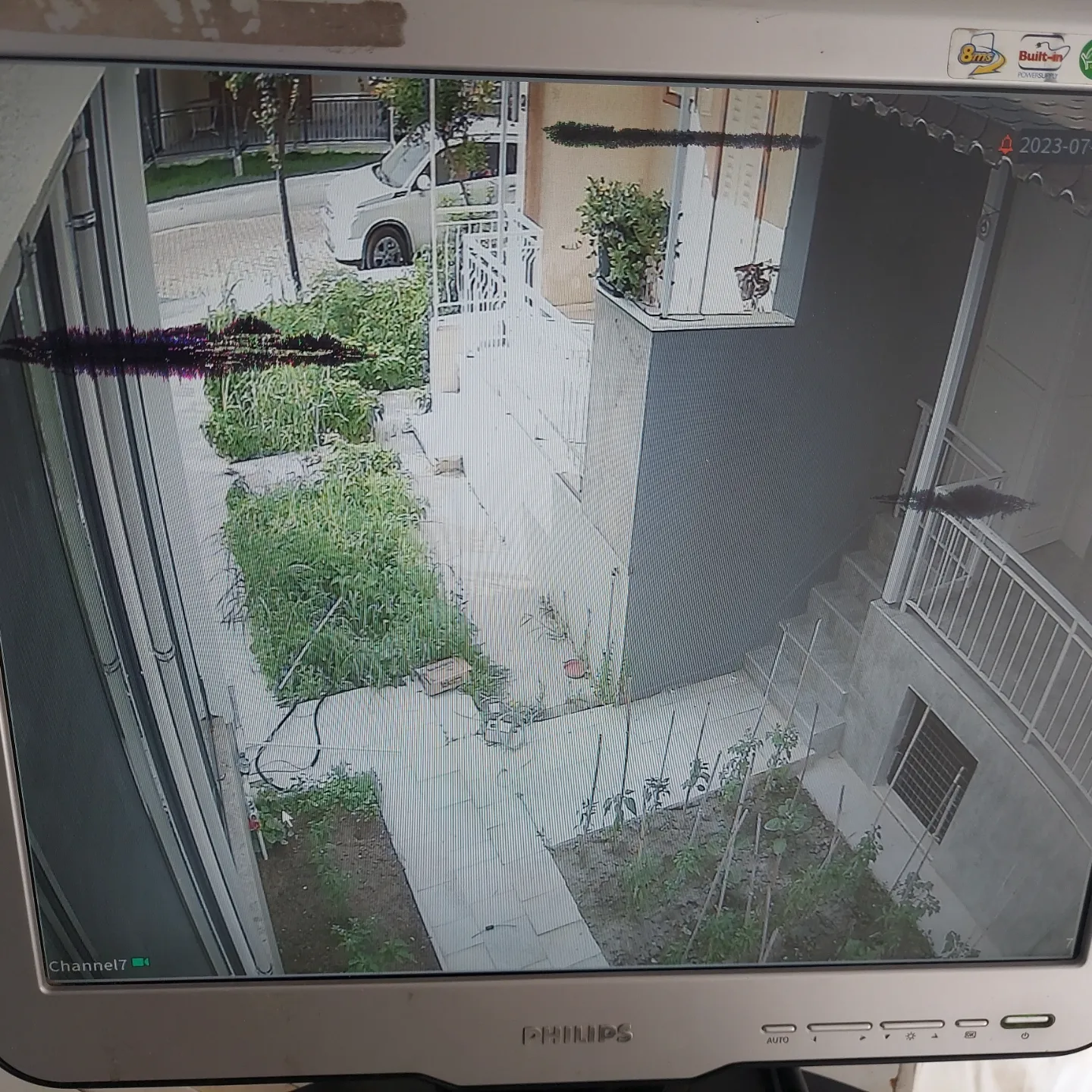 Yasemin Hanım / Davutlar