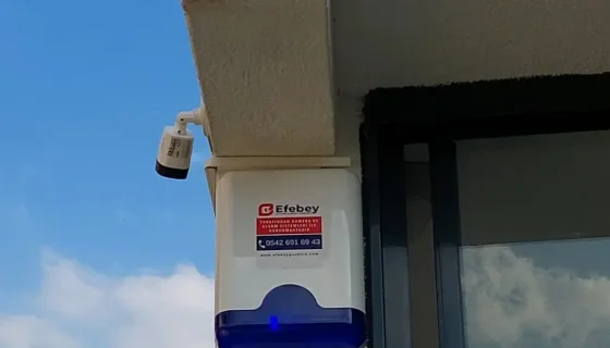 Yasemin Hanım / Davutlar